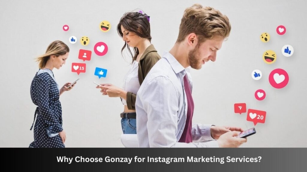 top blogs gonzay com